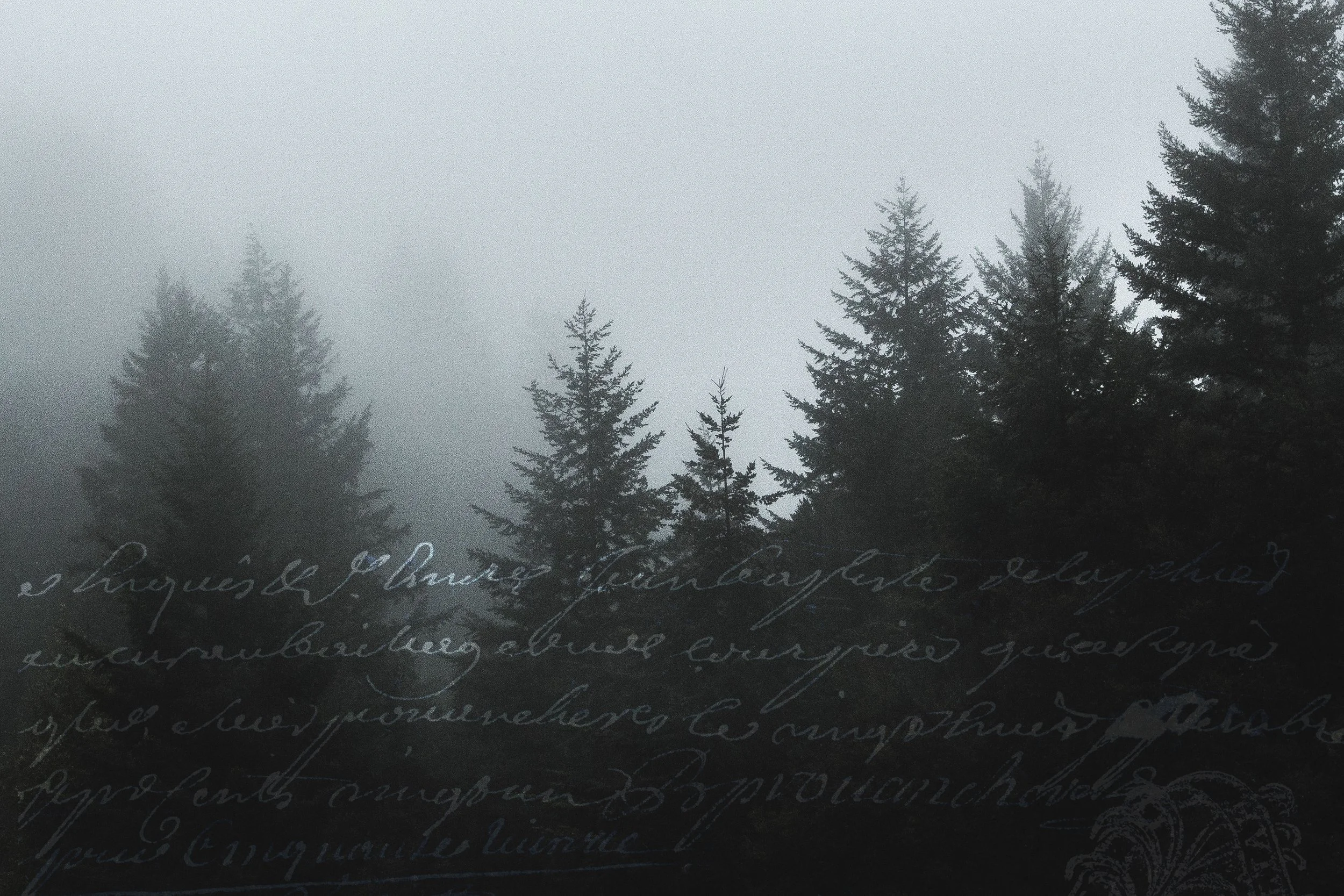 4 inspiring quotes about delving into your family history