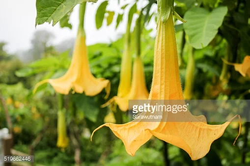 This is a post title.