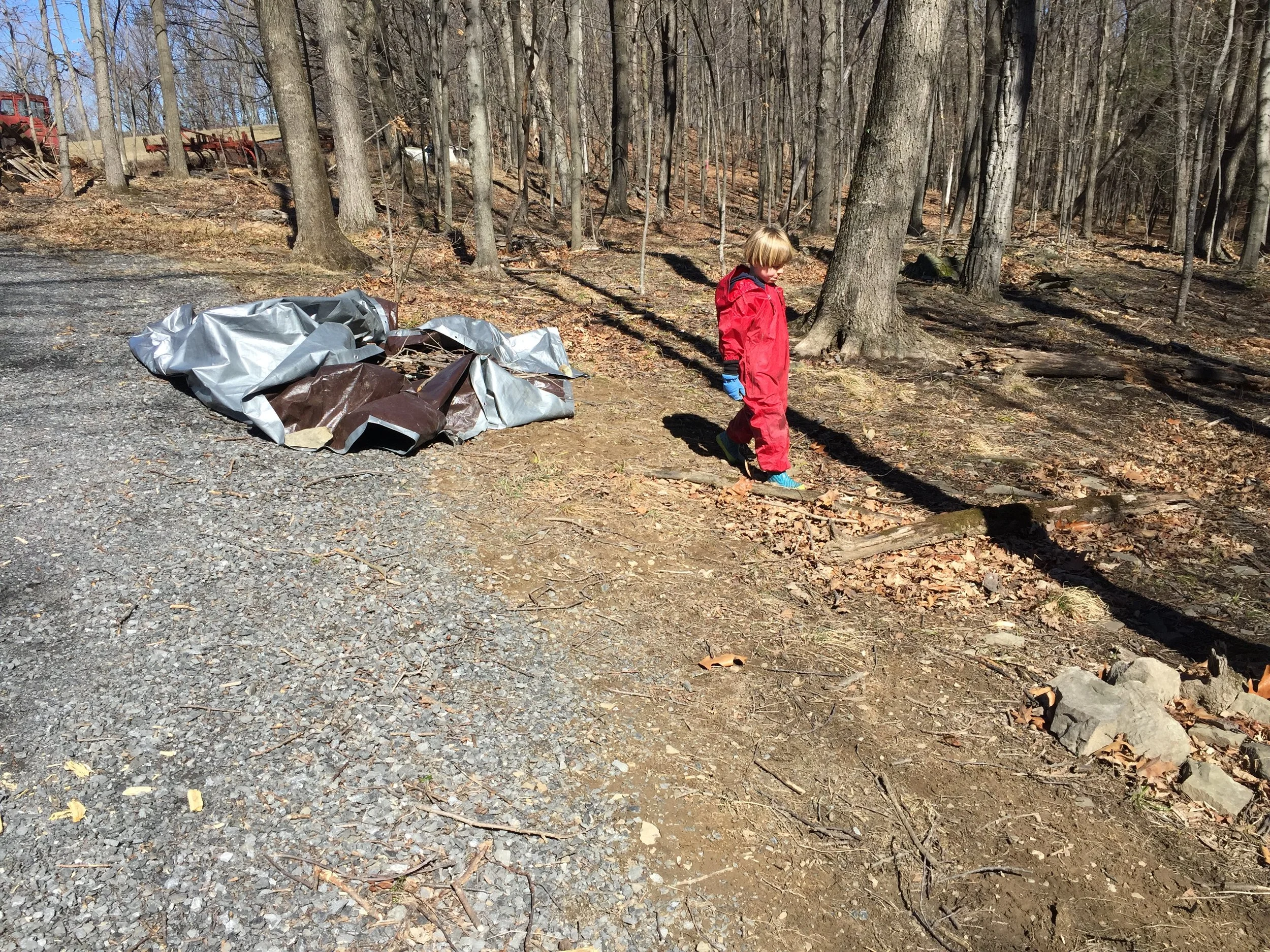 In just a short time we had filled the tarp with twigs.