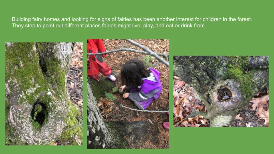 6Springtime Forest Explorations with the Pterodactyl Cats.jpg