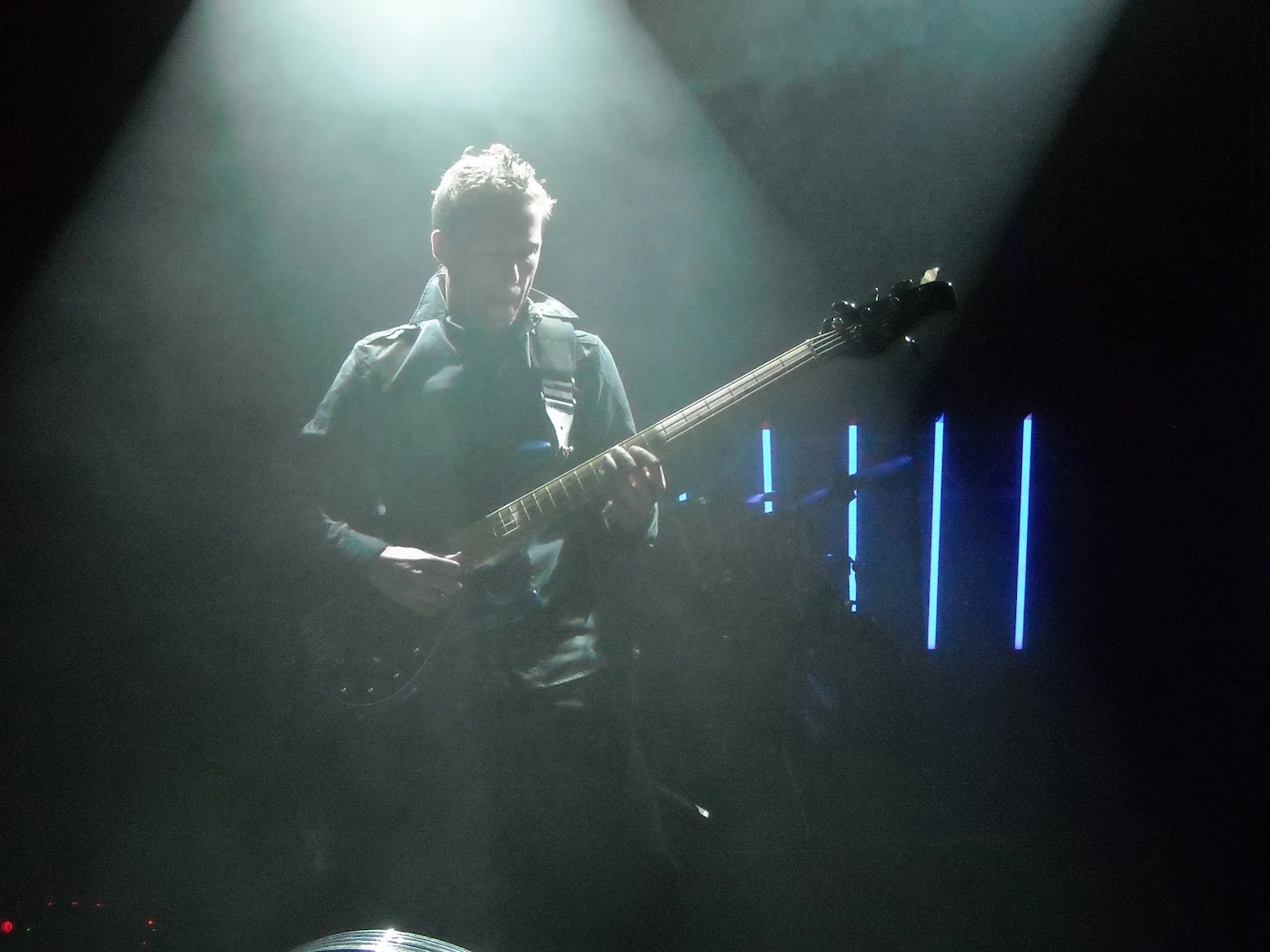 Nemesea 014.jpg