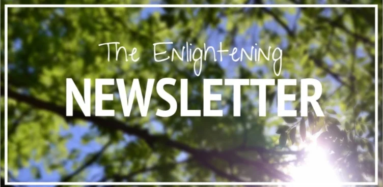 newsletter-header-2.jpg