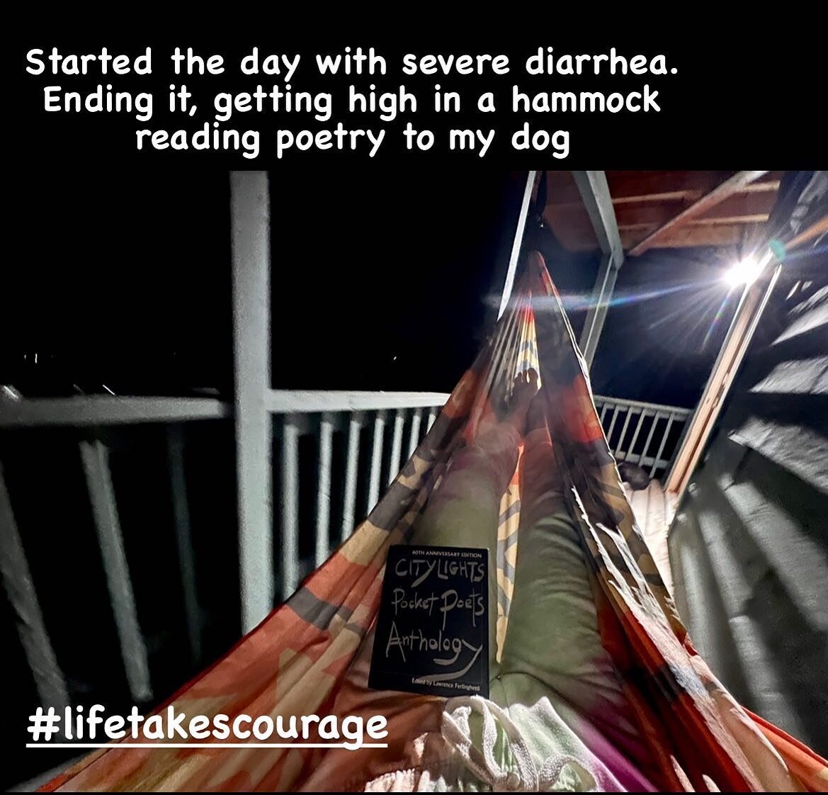 #lifetakescourage #citylightsbookstore #cabinlife