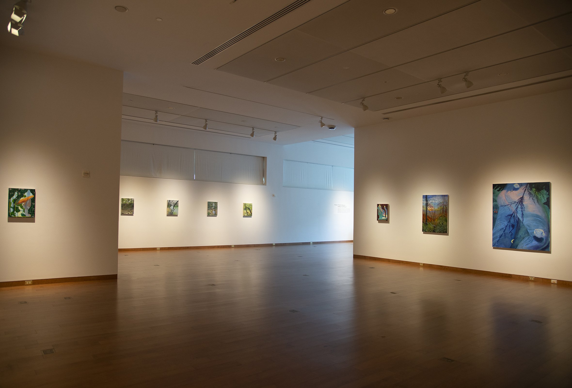 Install View of "Many Pastorals"
