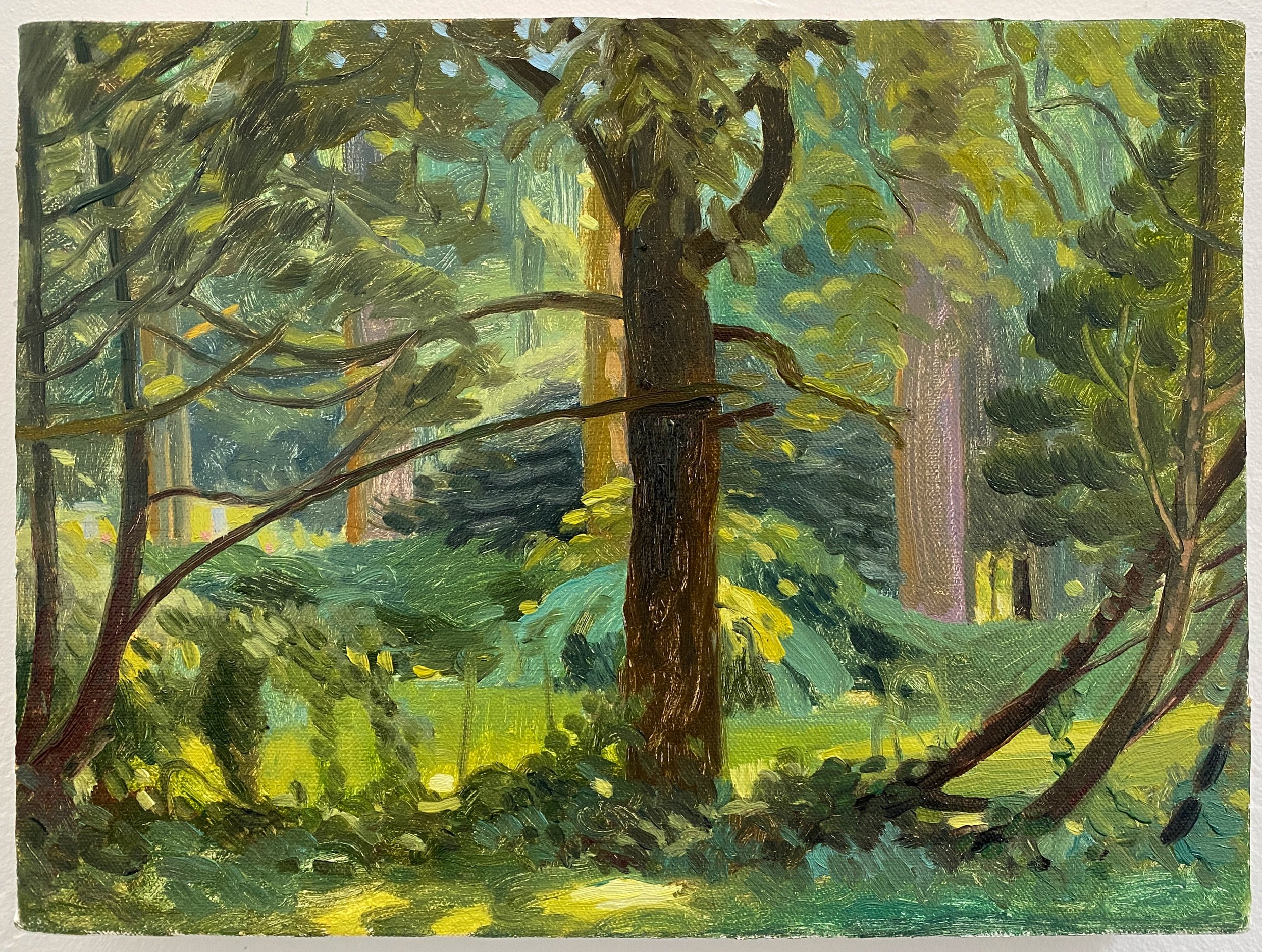View from Stone, 2023