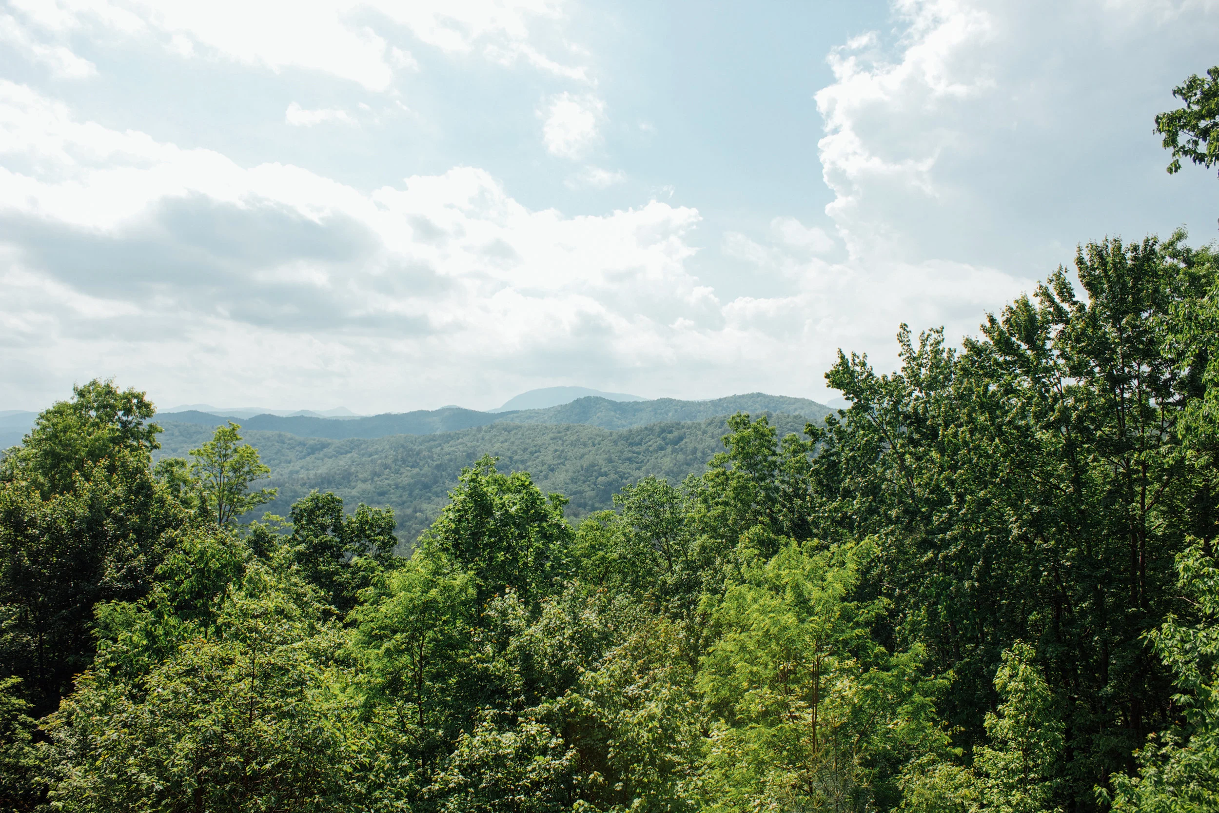RidgehavenSpring2015-Trails Scenery-0121.jpg