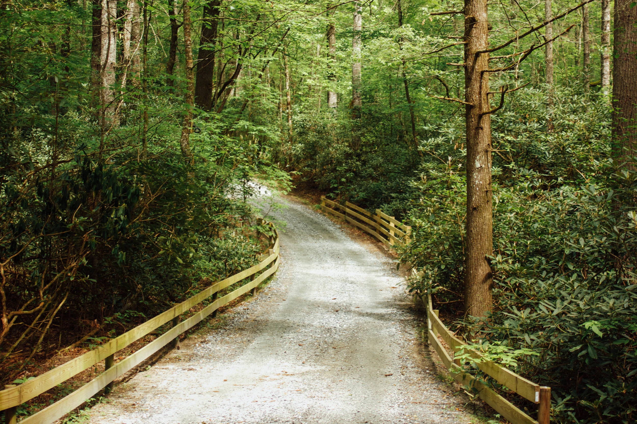 RidgehavenSpring2015-All-0060.jpg
