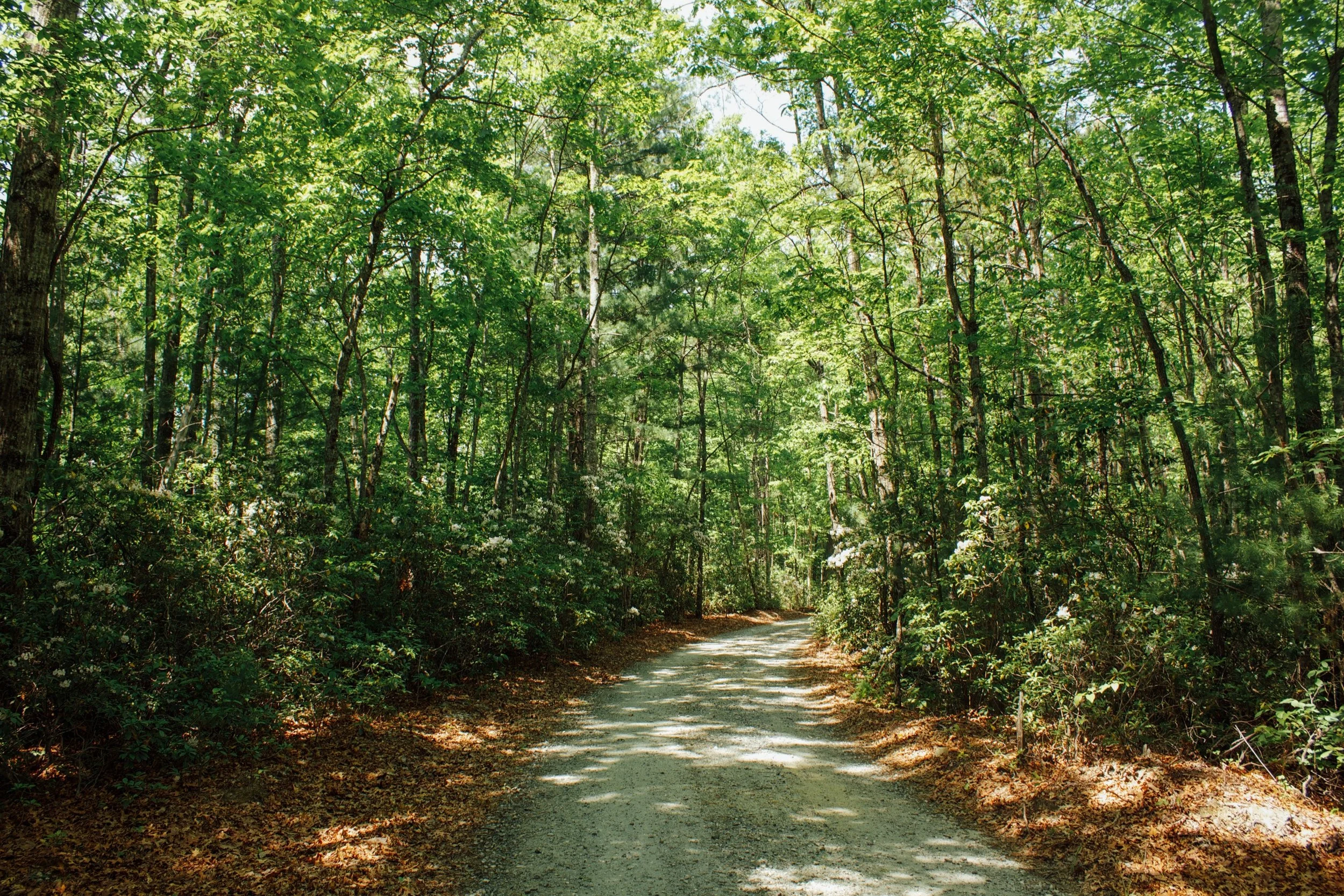 RidgehavenSpring2015-RV+Park+Skeet+Shooting-0007.jpg