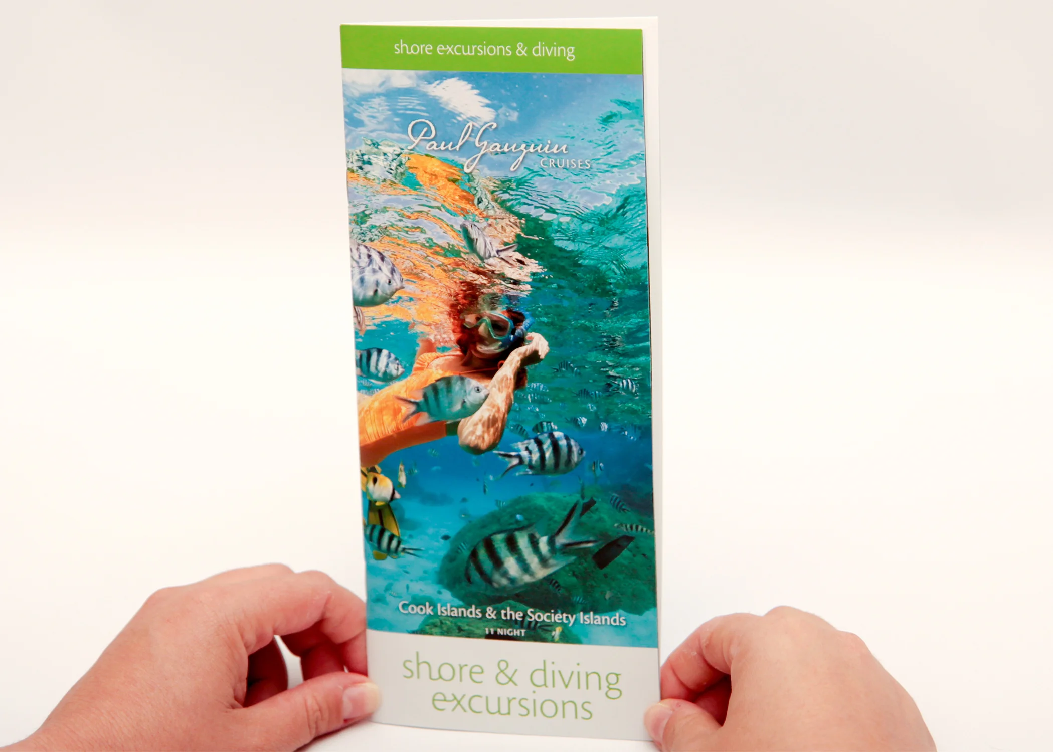 Shore Excursions & Diving