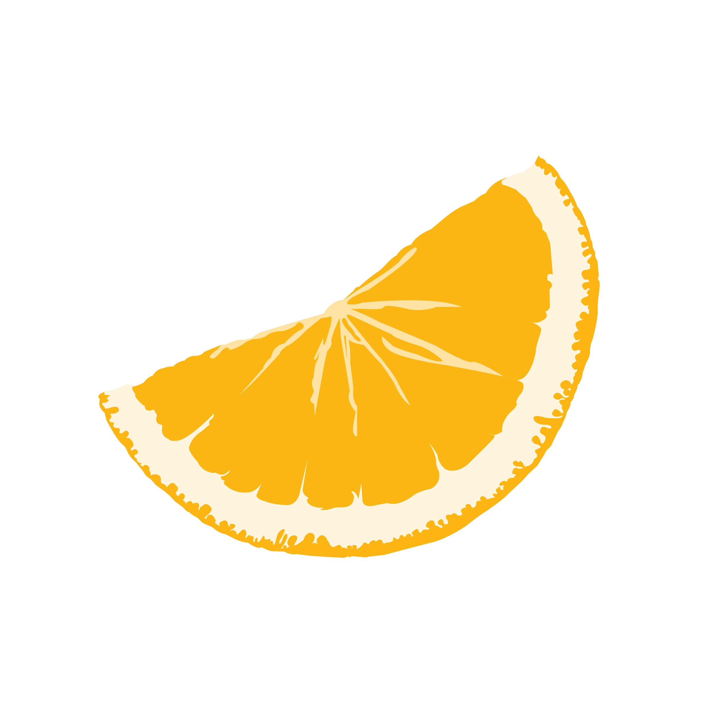 orange slice