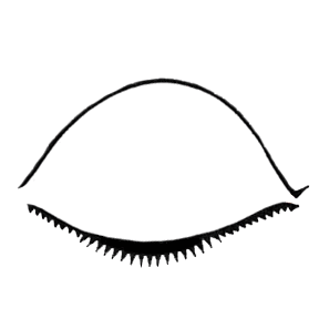 20-Kristi-OMeara-Double-Pupil-Eye-Animated.gif