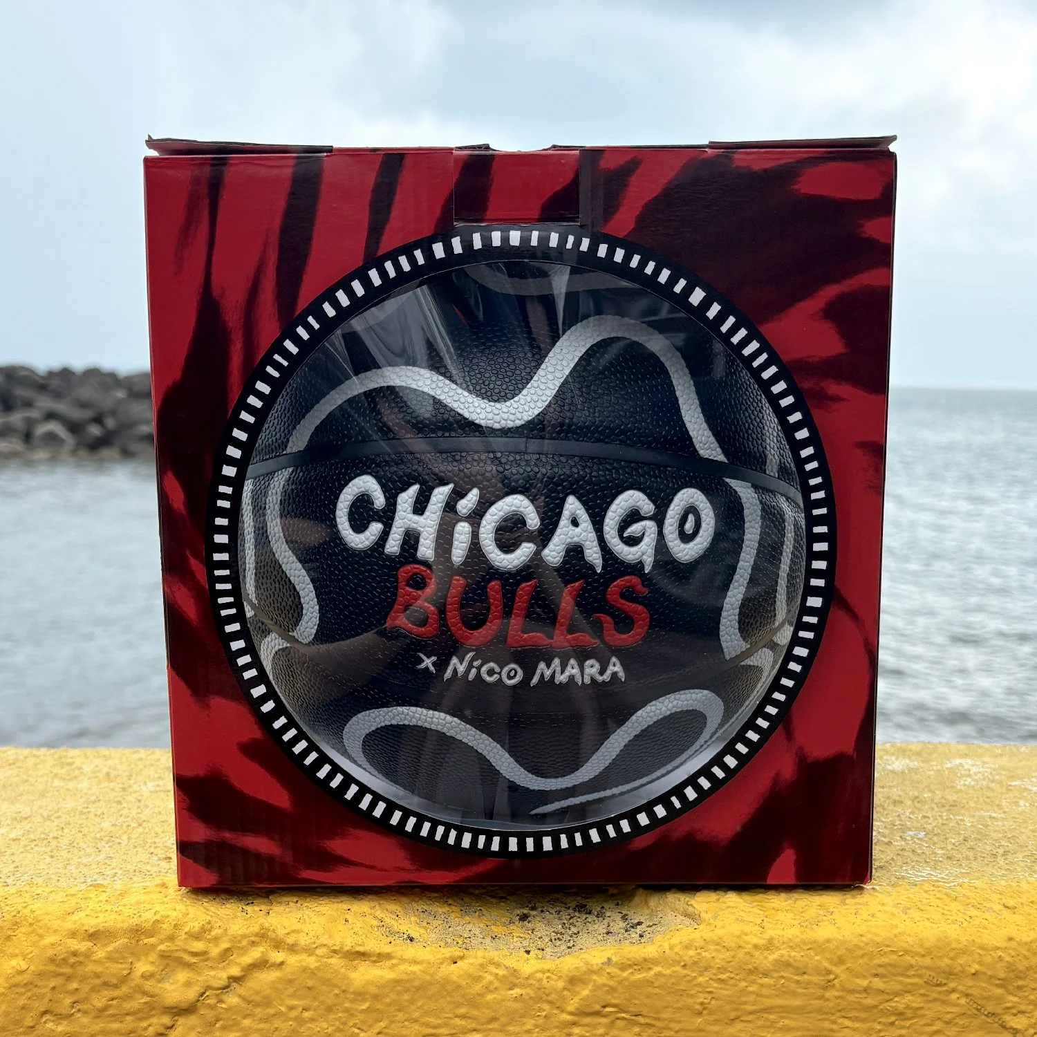 nico-mara_chicago-bulls_basketball_box-web.jpg