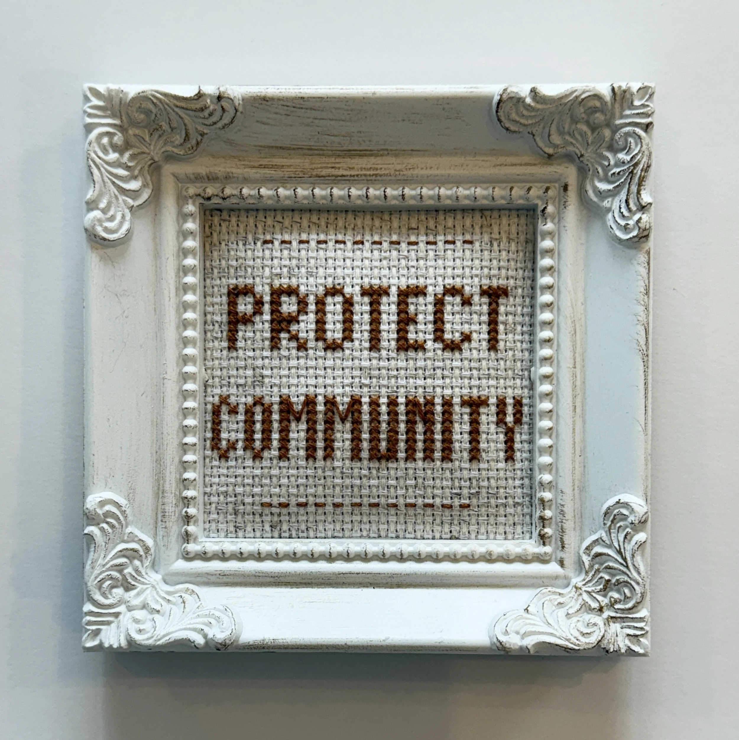 PROTECT COMMUNITY