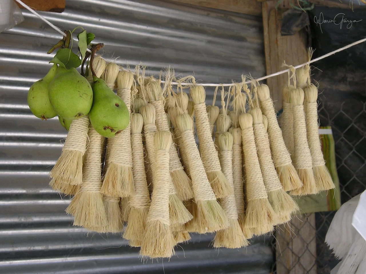 Brushes Mercado-MG.jpeg