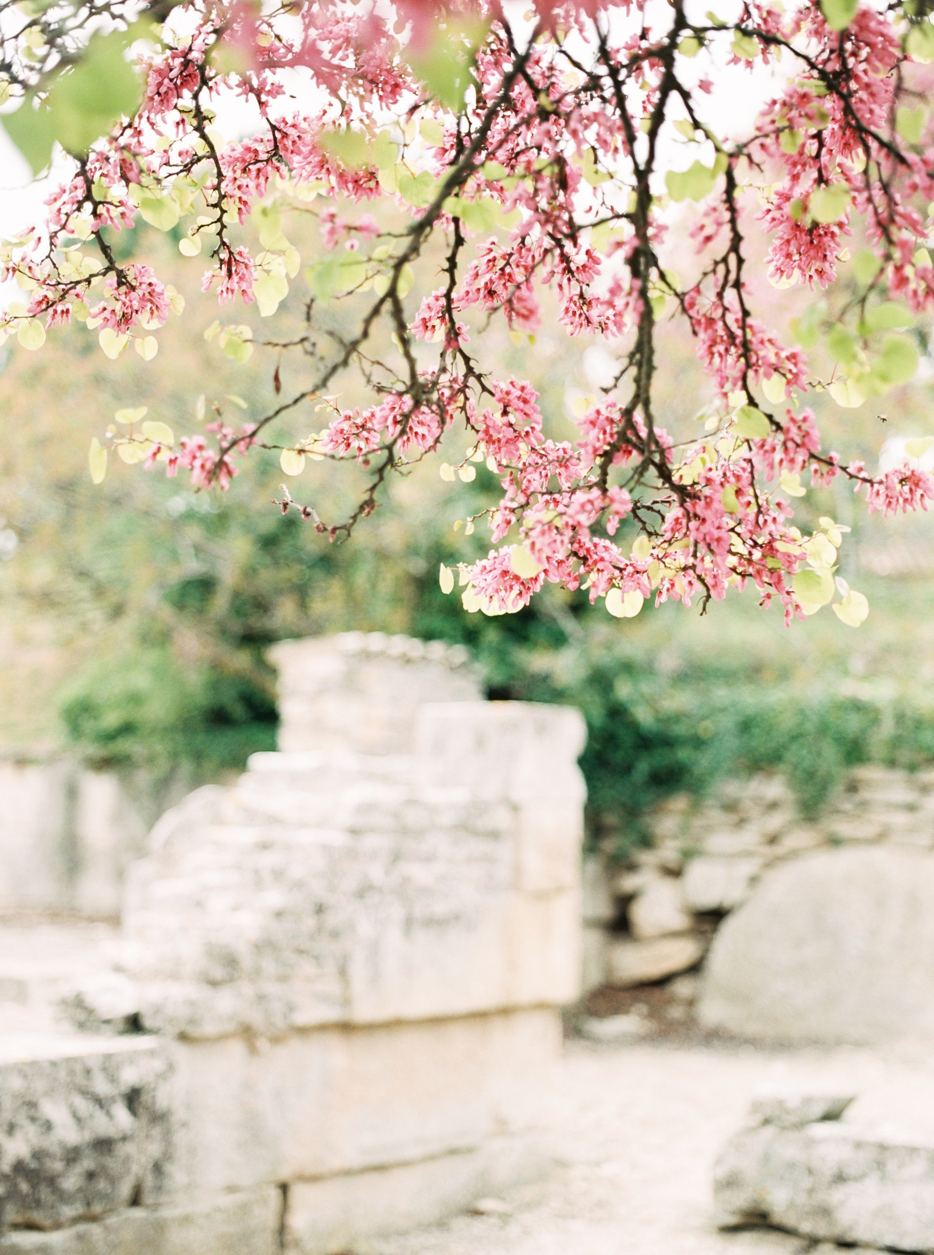 french_wedding_provence_american