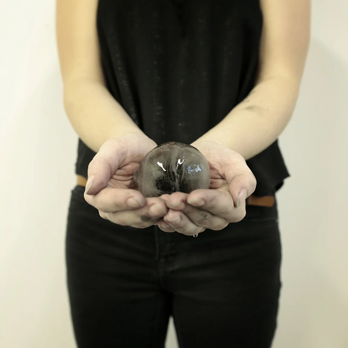 The Lived Body