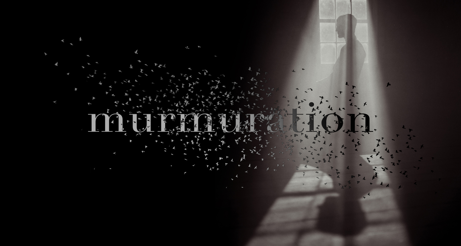 m u r m u r a t i o n