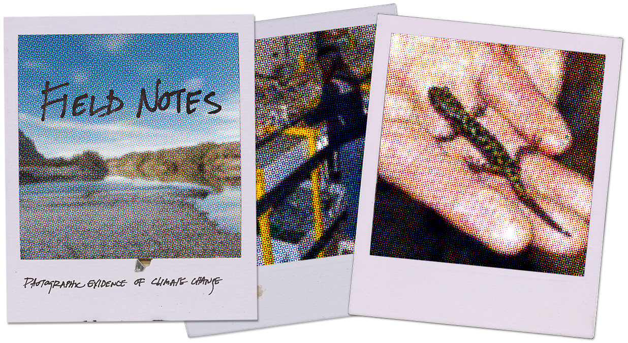 field-notes_header_askew.png