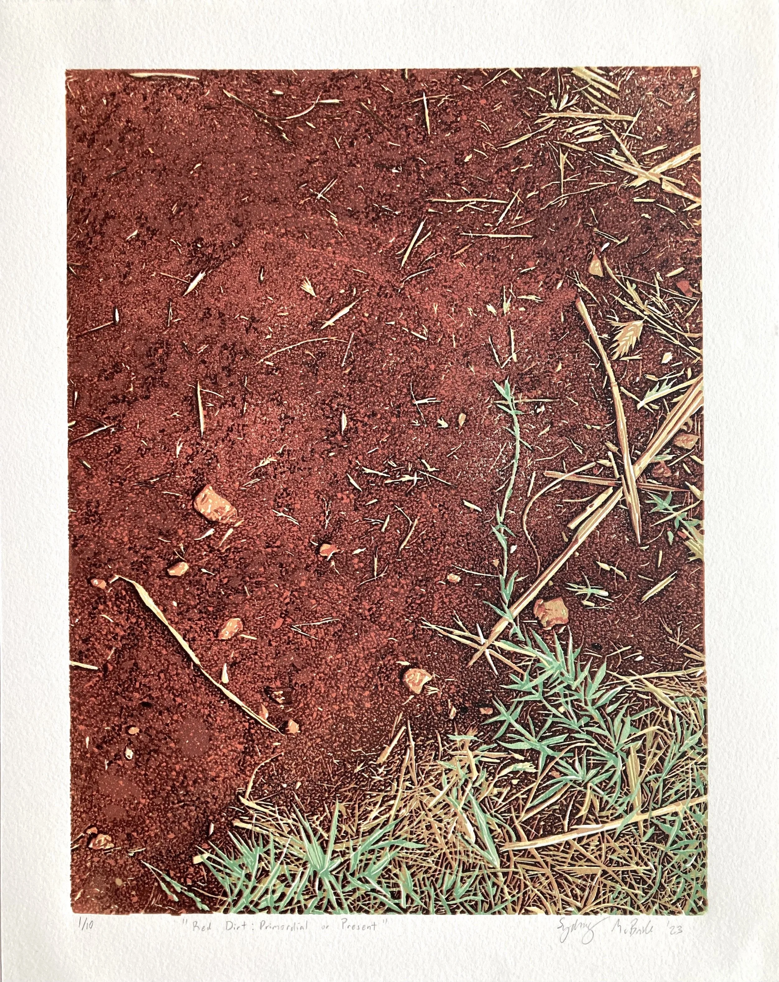 McBride_Sydney_ RedDirtPrimordialOrPresent - Sydney McBride.jpg