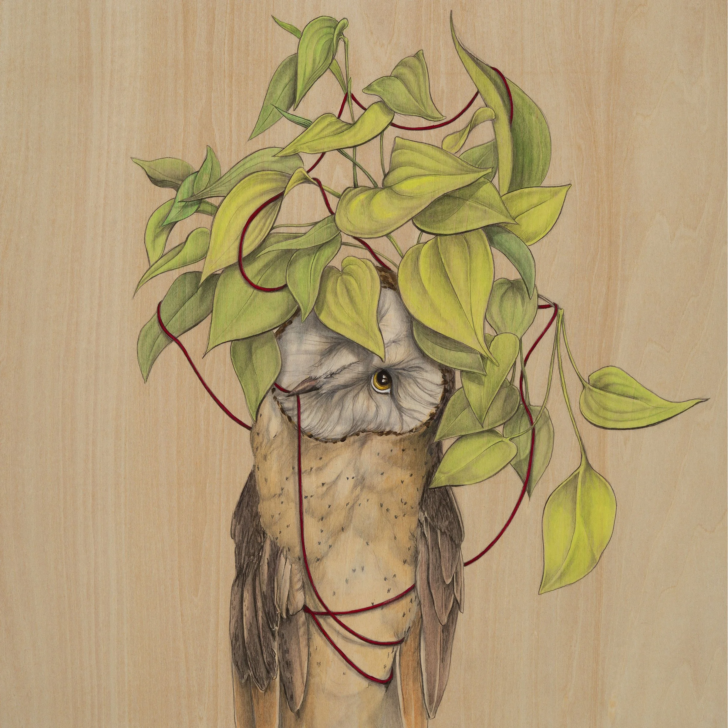 AmyFriend_2024_image1 - amy friend.jpg