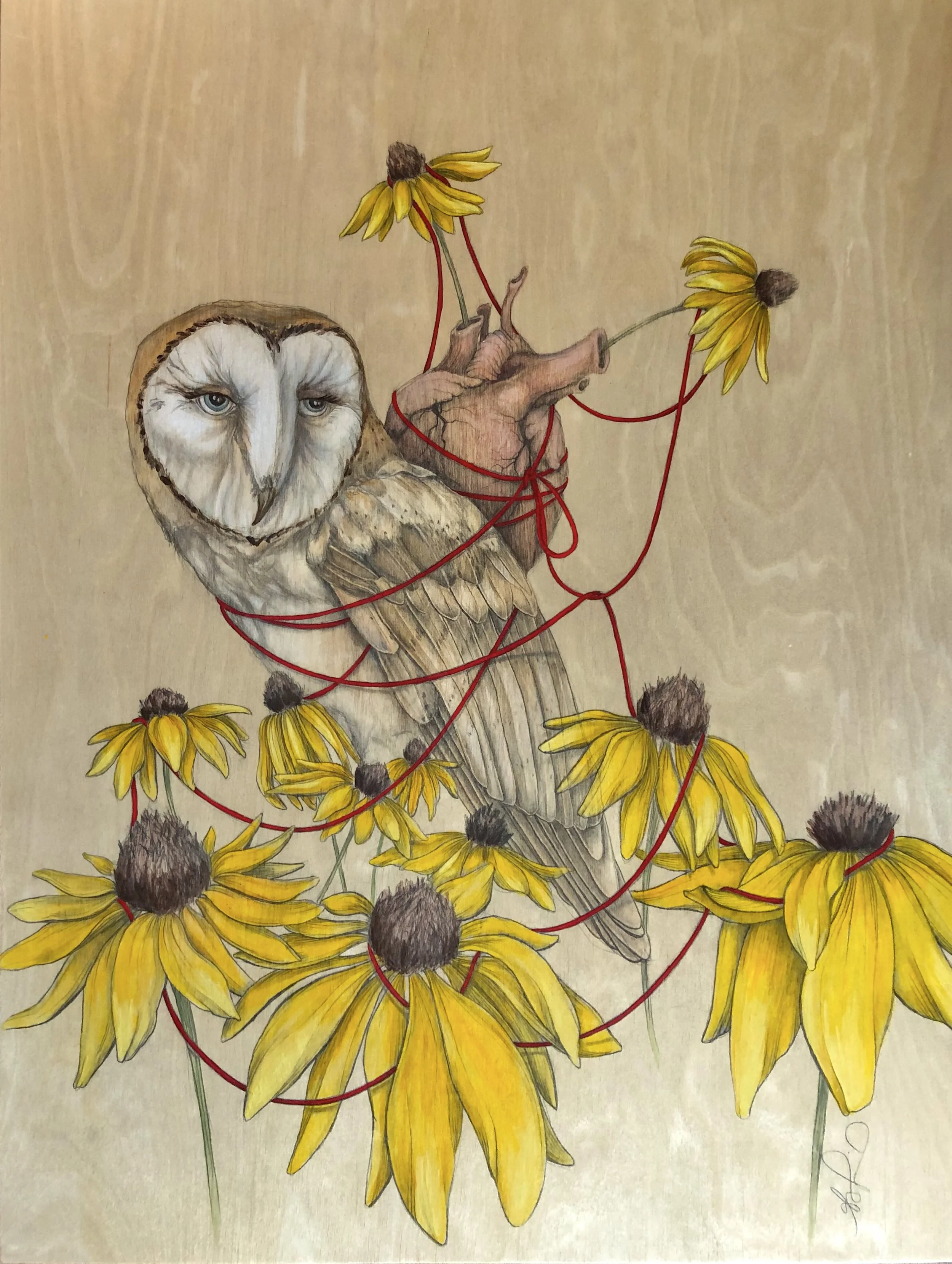 AmyFriend-Owl copy - amy friend.jpg