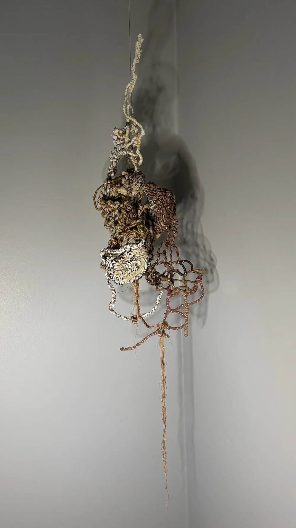 Petrified CrustaceanJPG - Patrizia Ferreira.jpg