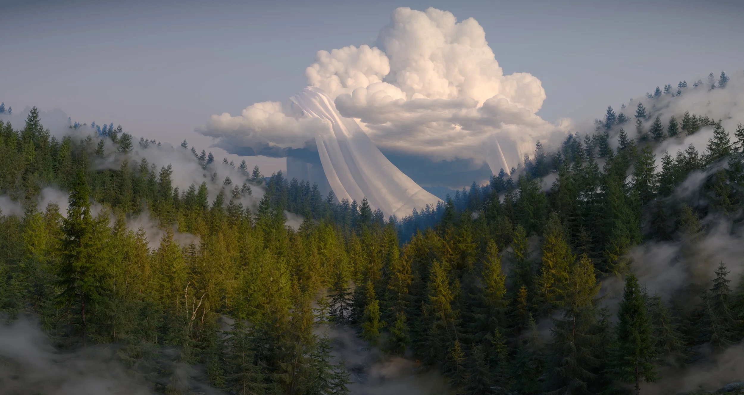 Sentinel8_PetrachorWEB - matthew wilson.jpg