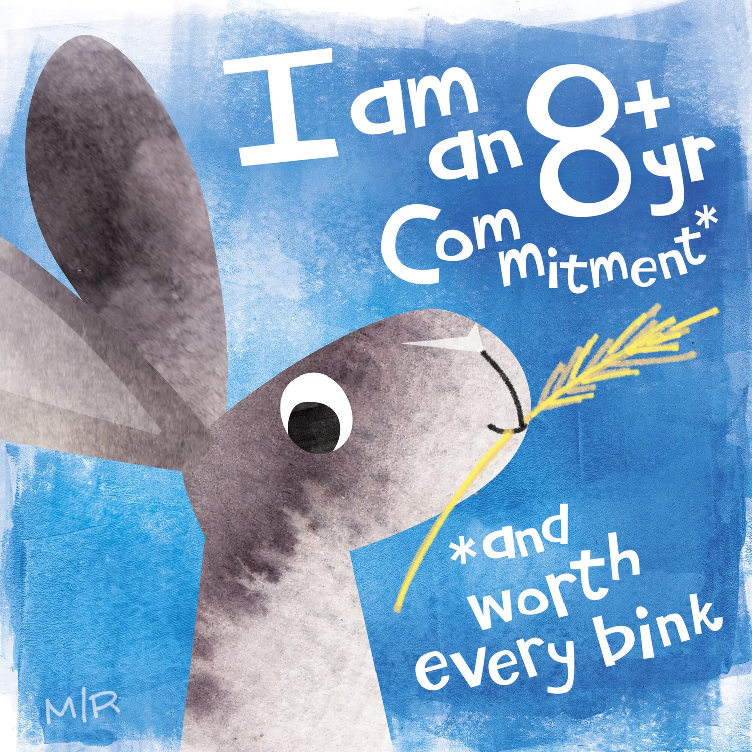 rabbit rescue information matthew rivera