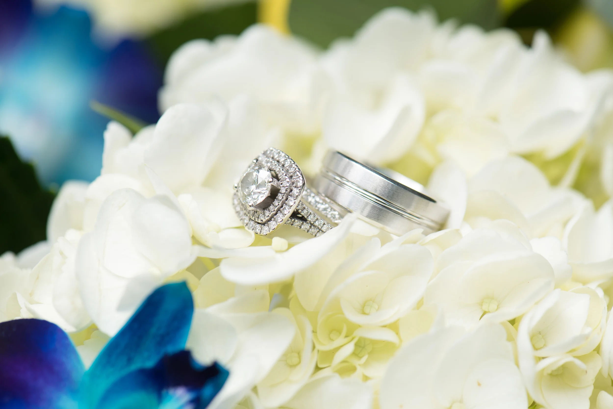 D+C+Wedding-14.jpg