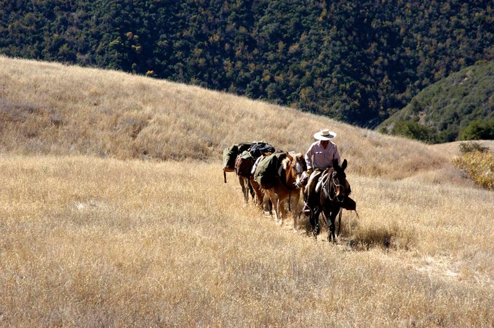 Los Padres Forest Association