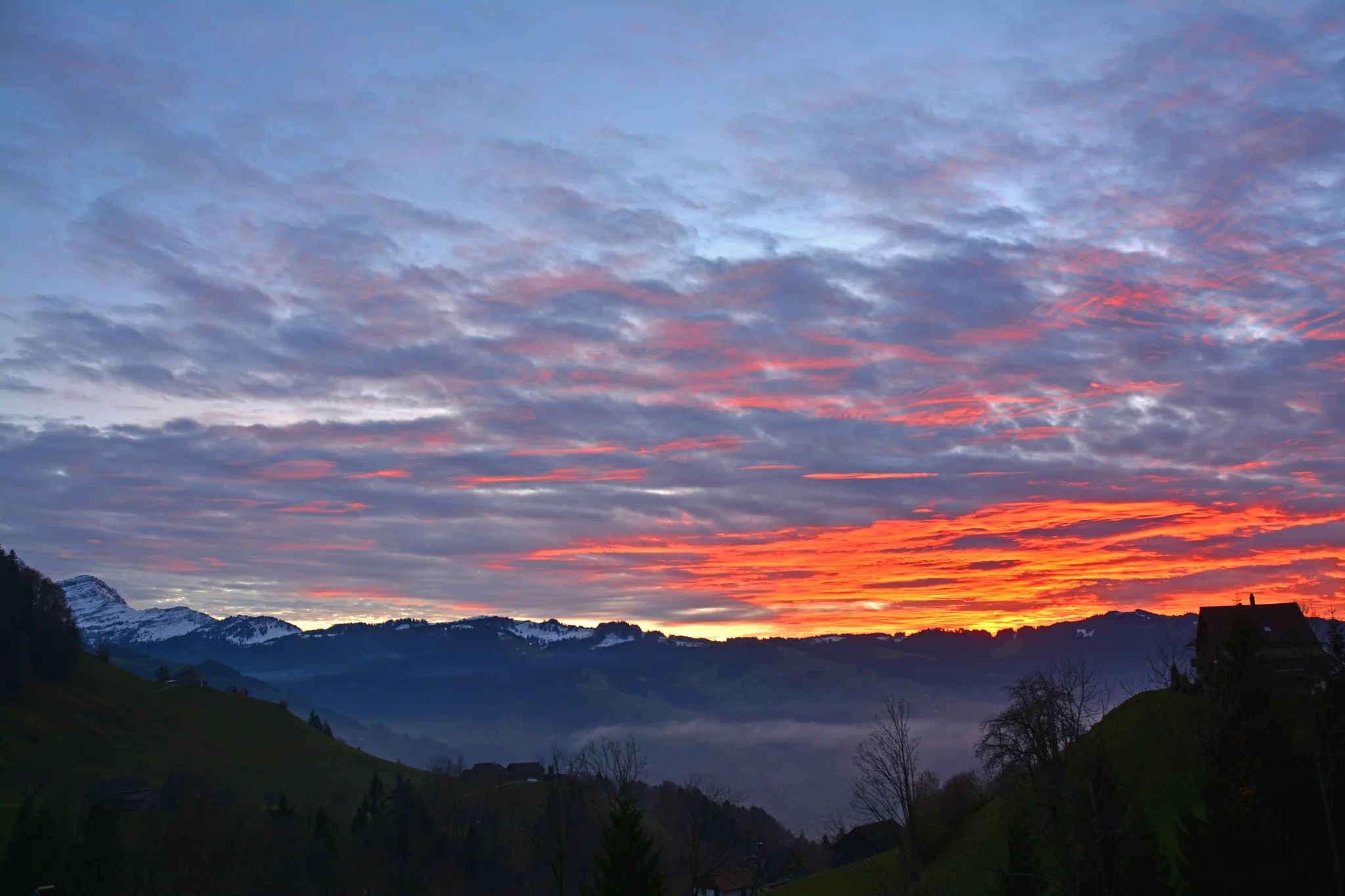 DSC_7519_bearb.jpg