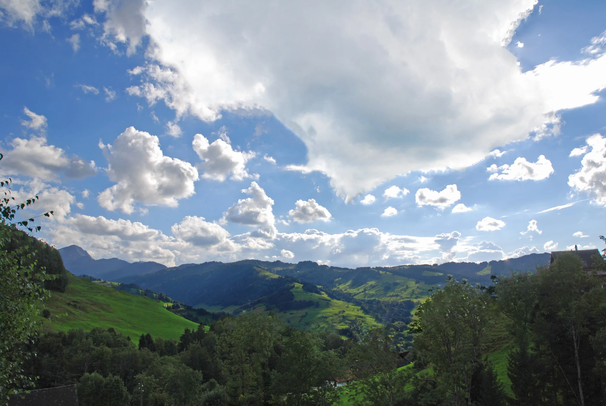 Aussicht_Sonnmatt_Sommer_bearb.jpg