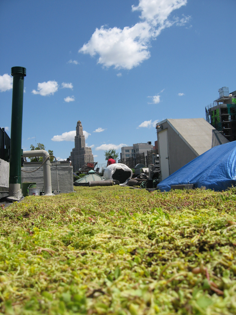 Once a utilitarian, scorchingly hot industrial rooftop, now covered in soft, green plantings.