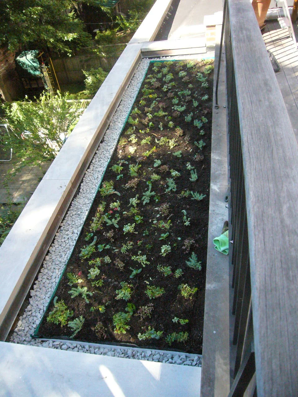  Documenting the initial planting... 