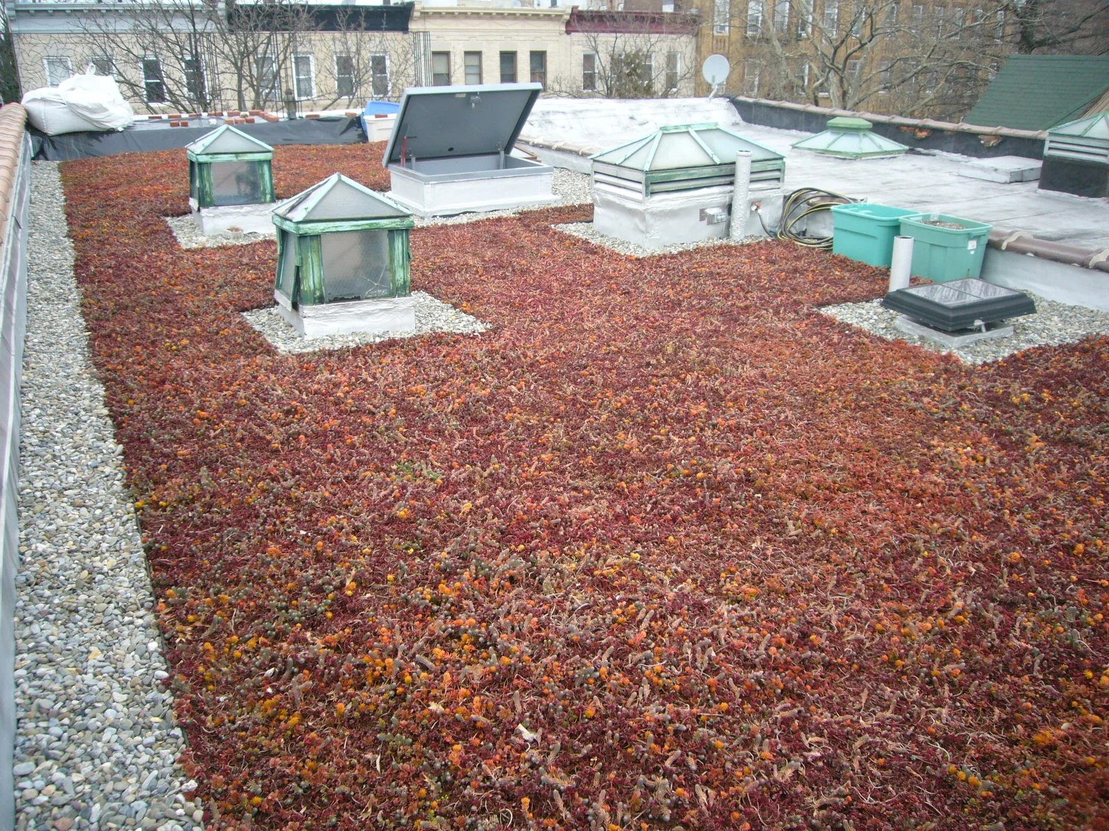  Fall color signifies the coming winter and is the way the plants shut down for a dormant period. 