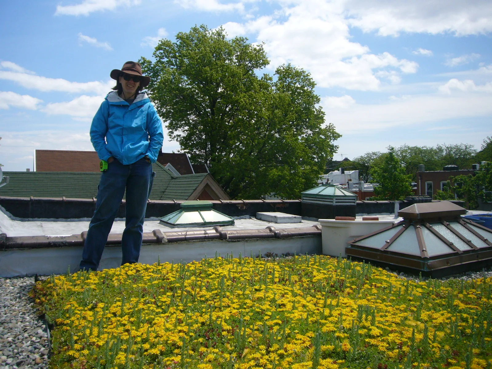  Only to come back in the spring, more vibrant than ever! 