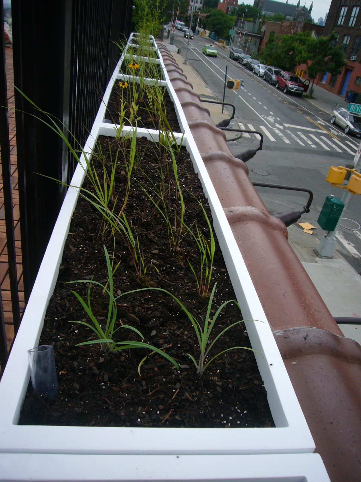Our own custom designed sub-irrigated planters only need to be watered once a week, rather than daily as would be the case with a standard planter.