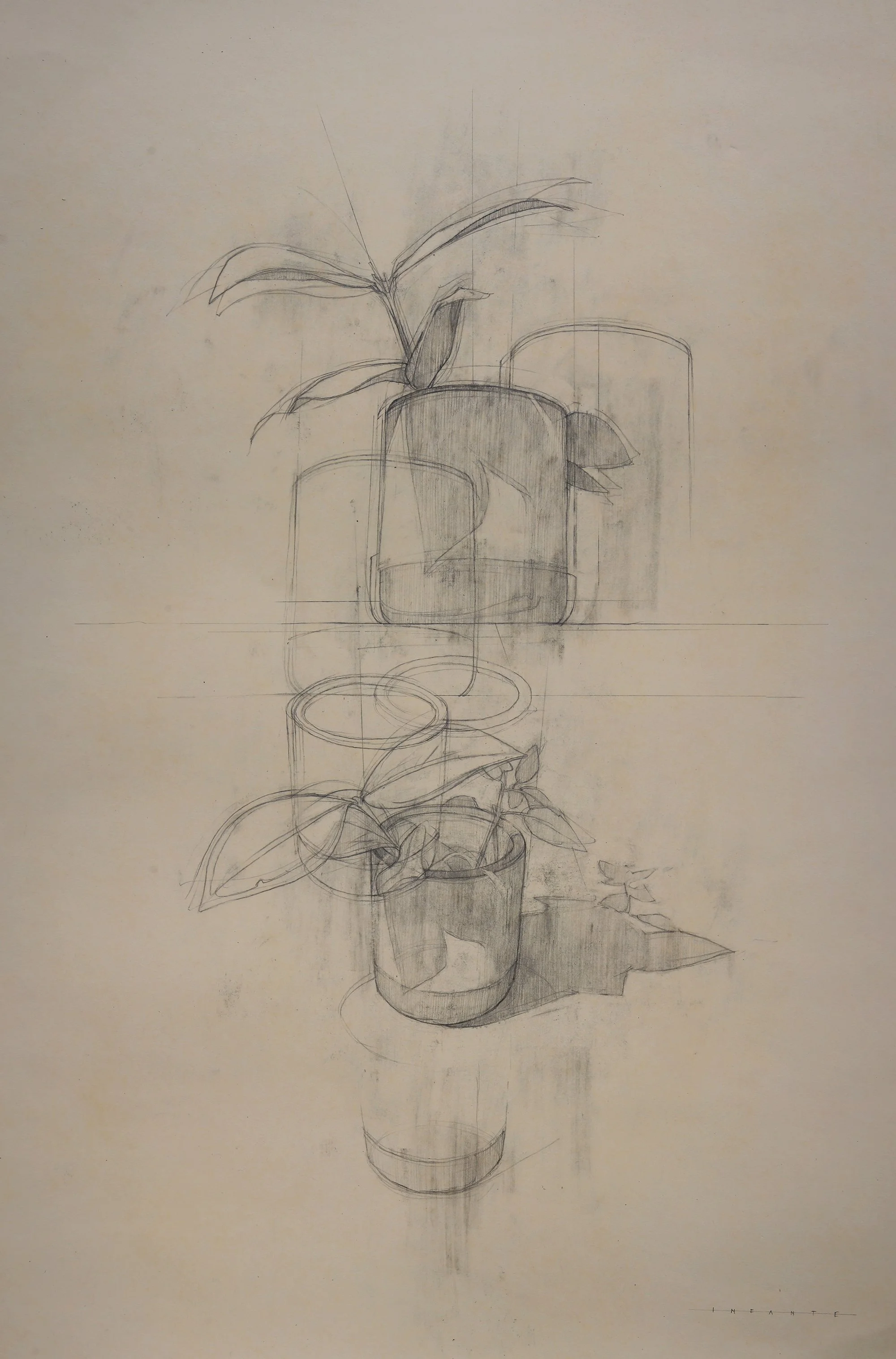 Stillness Study I / Quietud studio I