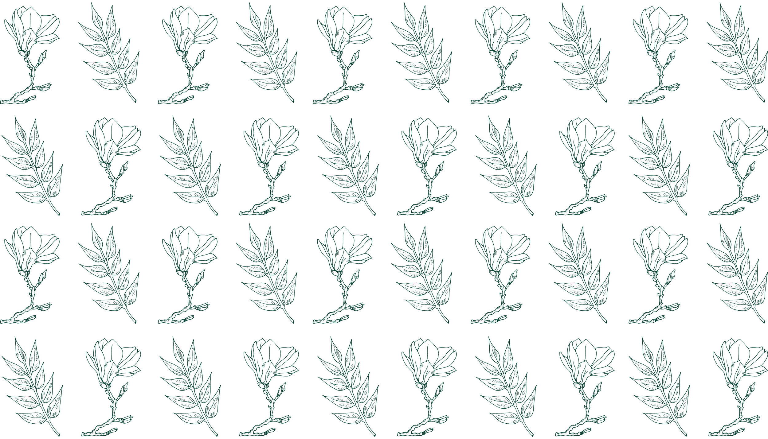 MillerBranding_FoliageIllustration.jpg