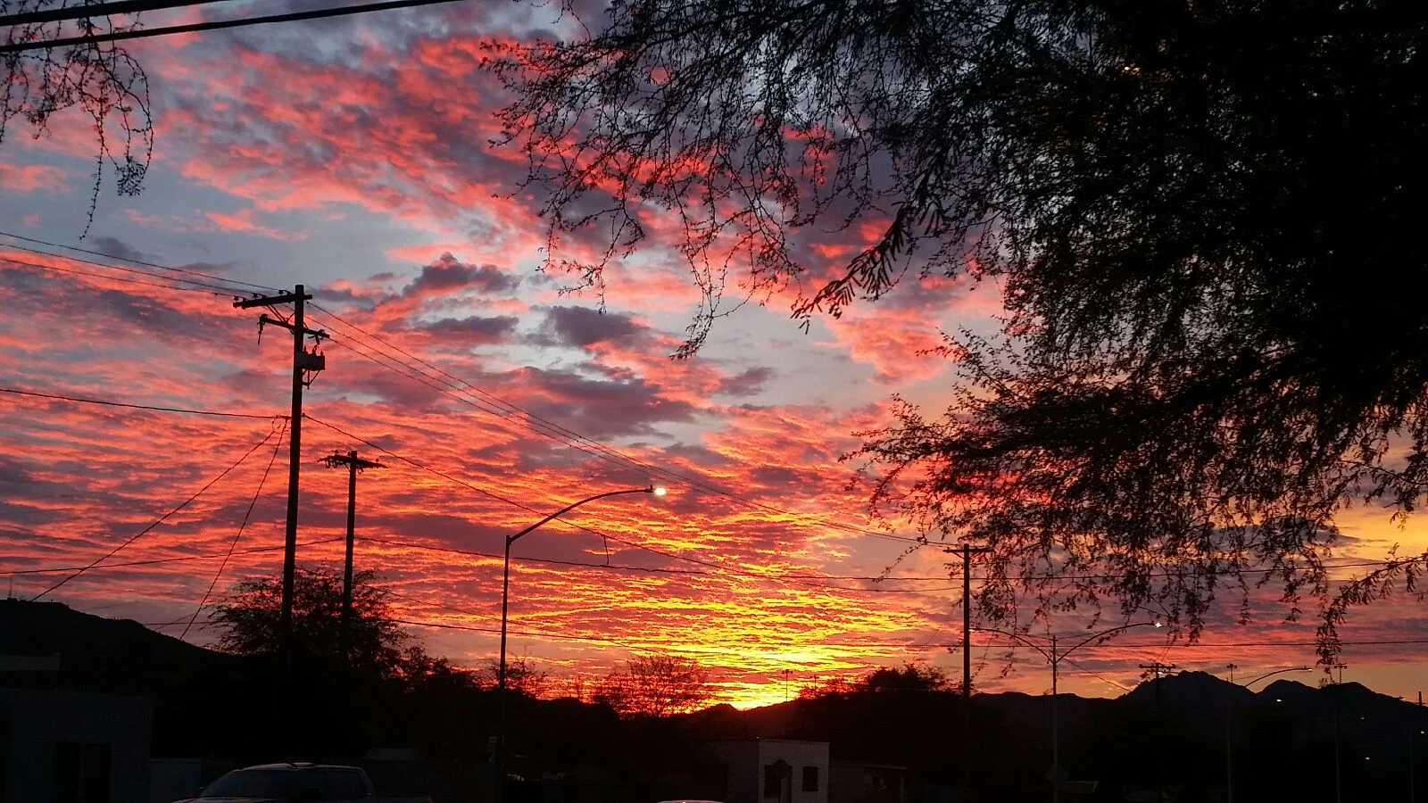Tucson in January Photo by Tran Thai