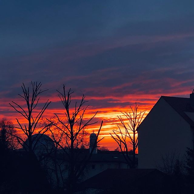 Evening Winter mood. 
Being a student in a big city life and craving the ocean so much is not always easy. 
I am privileged to learn all the amazing things about the human body but this System we have to follow is somewhat mindboggling.

It often mak