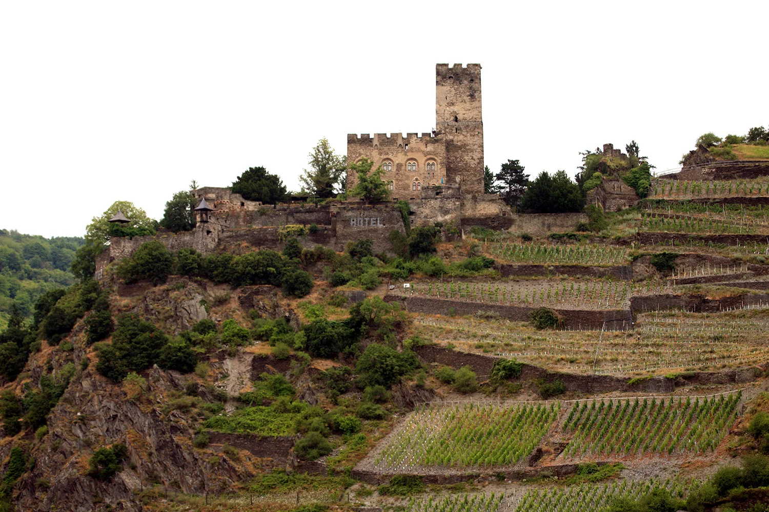 Castle on the Rhine