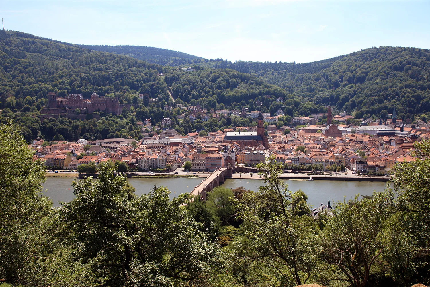 Skyline of Heidelberg