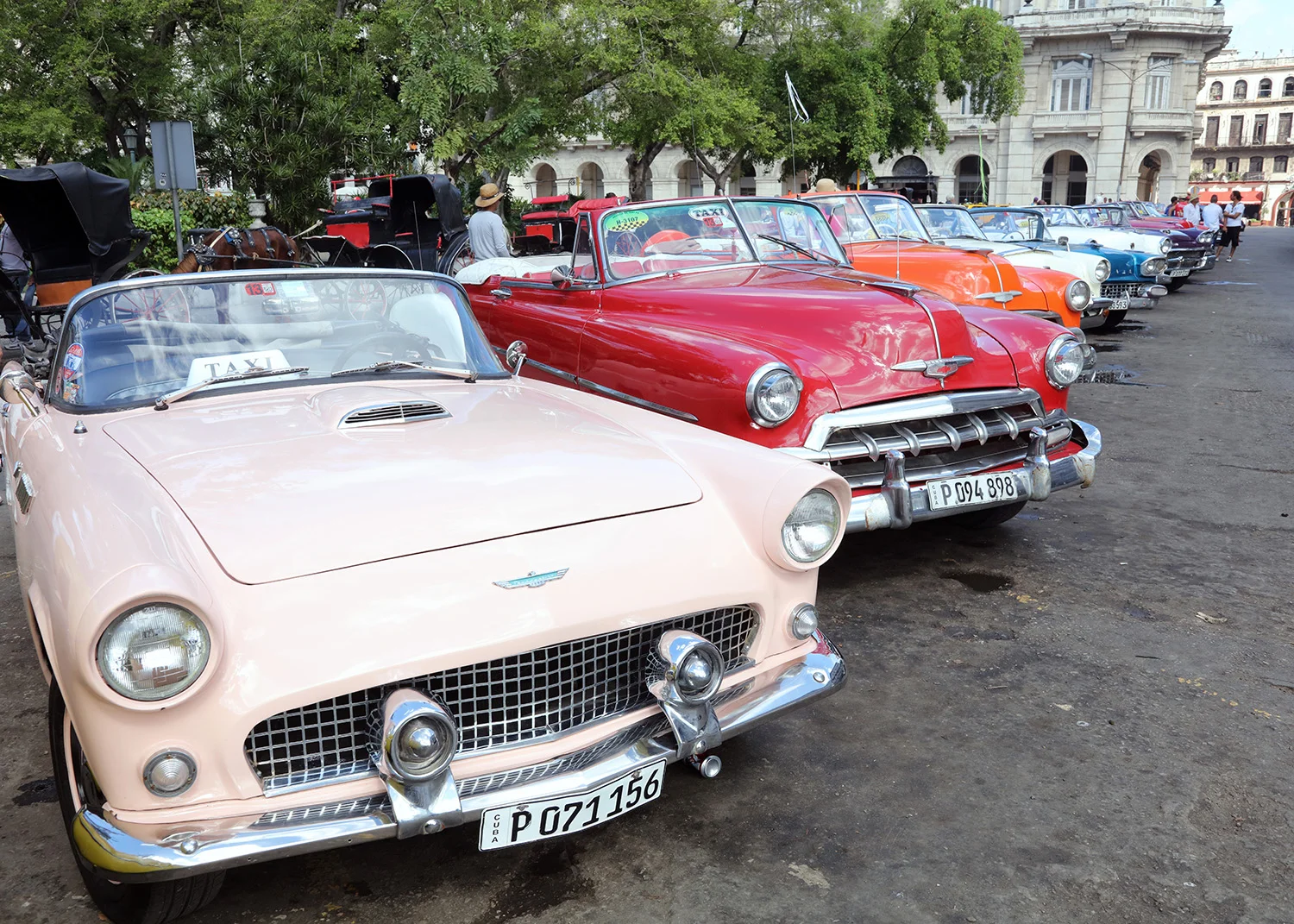 Take a T-Bird in Salmon