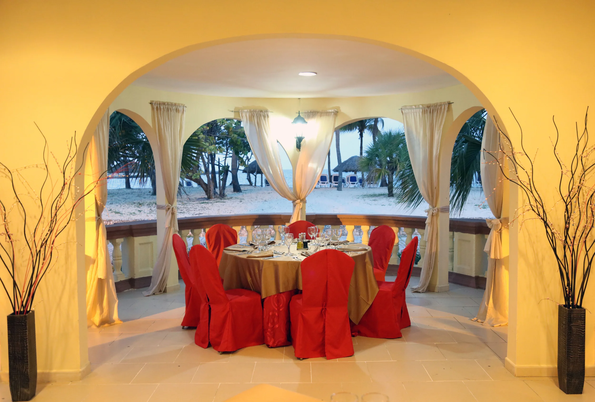 An Elegant Dinner