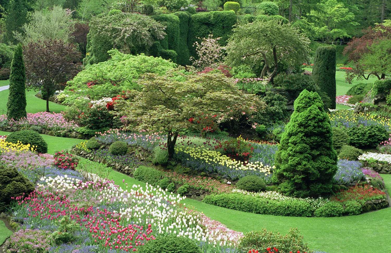 Butchart Gardens
