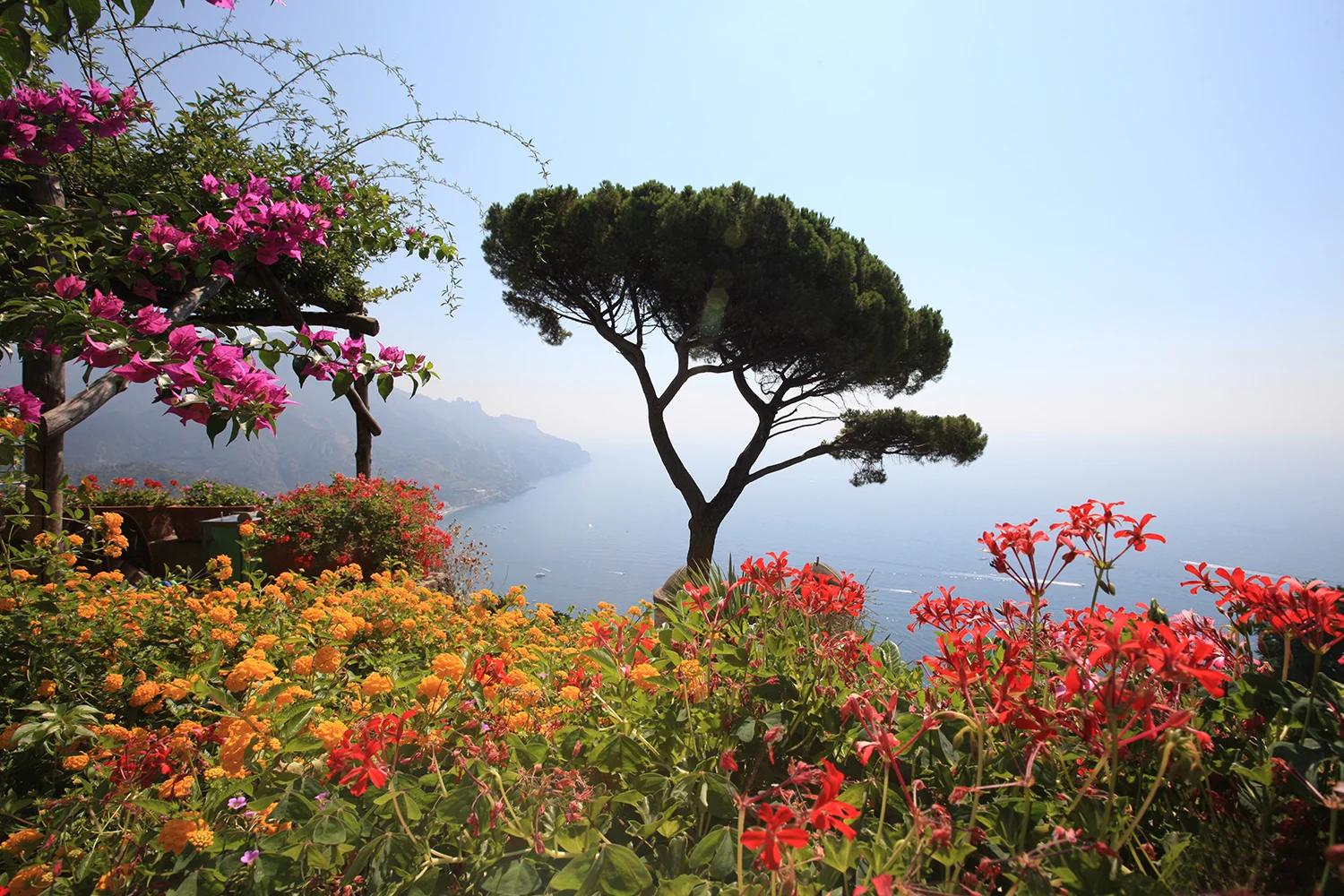 Flowers of Ravello