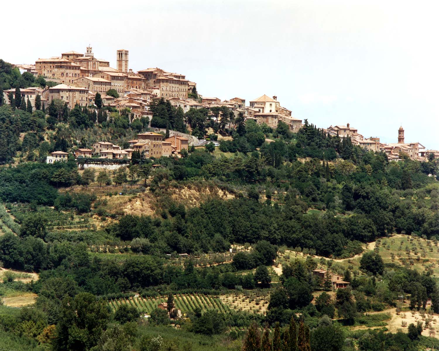 Montepulciano