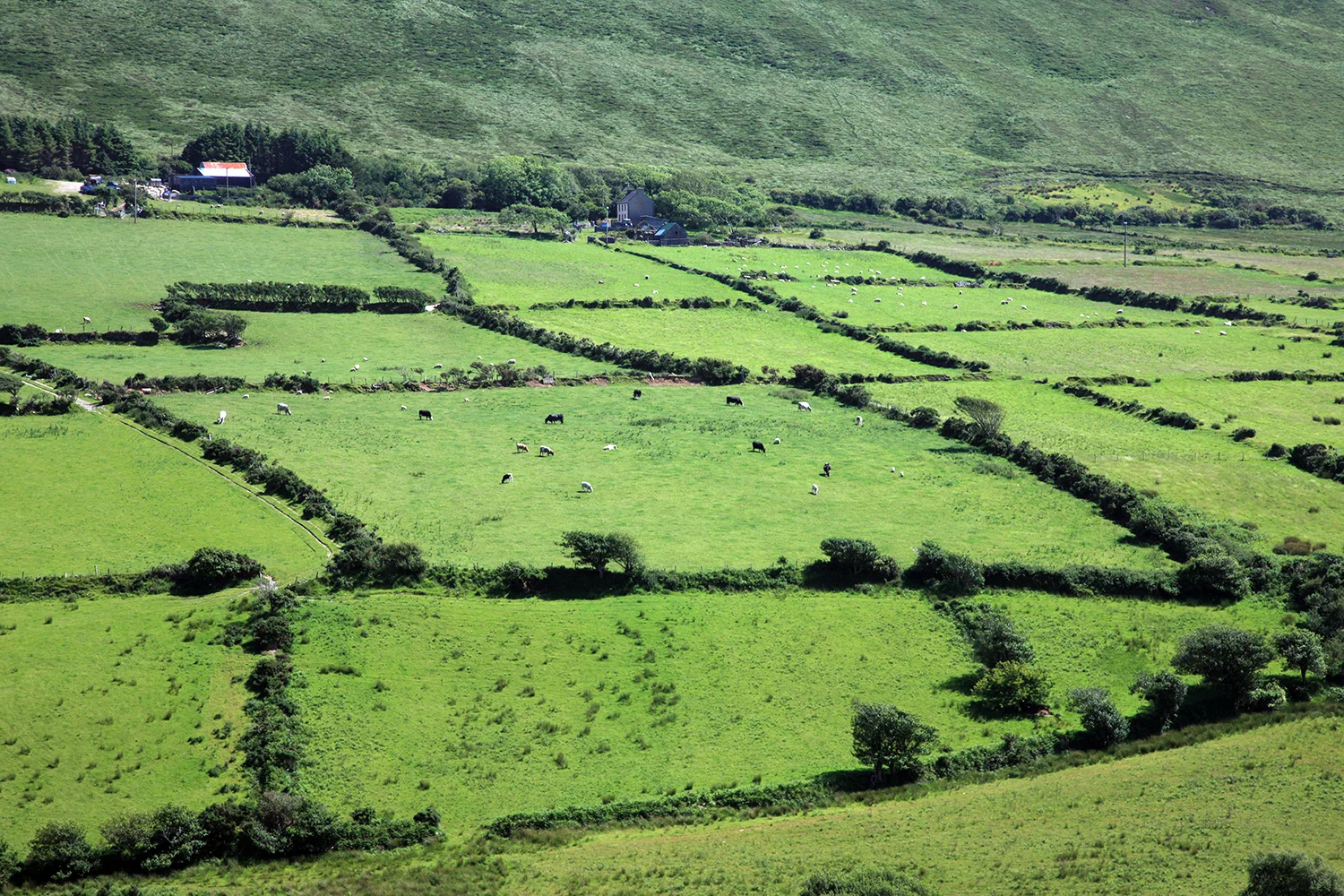 Dingle Peninsula