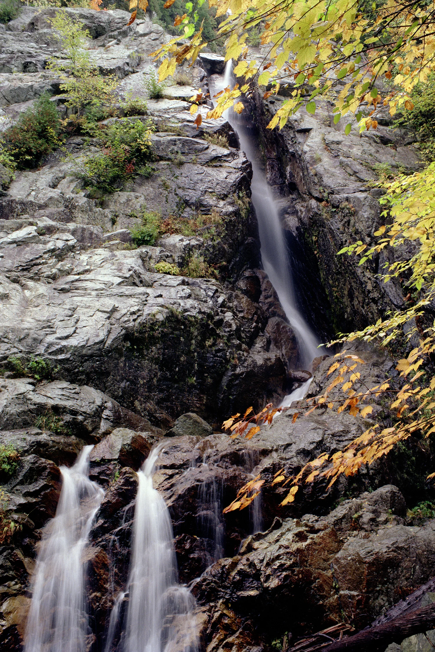 Falling Water